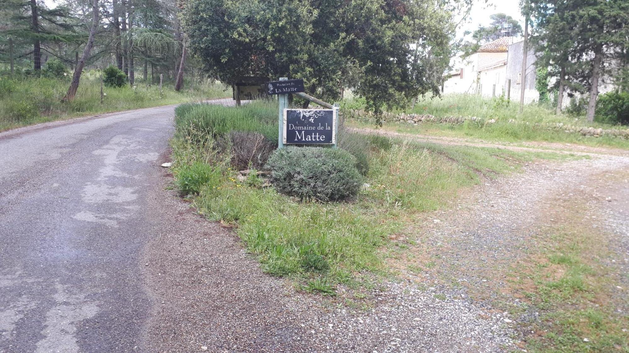Domaine De La Matte Panzió Conques-sur-Orbiel Kültér fotó